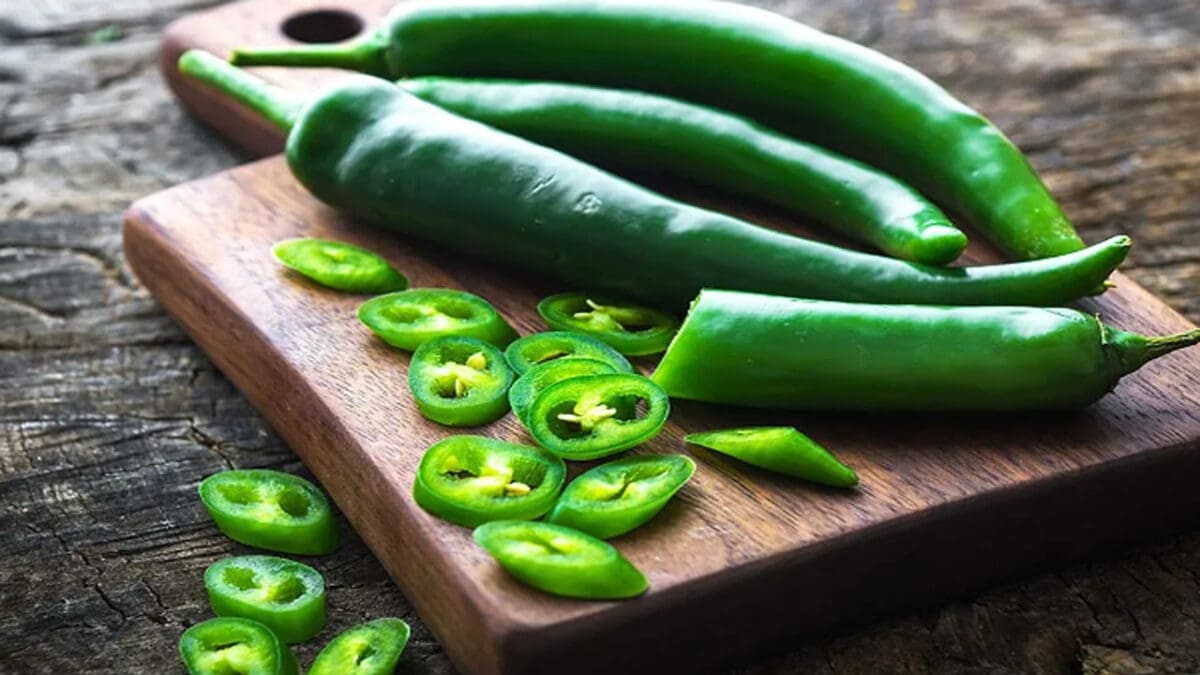 Rasi palan30 4 scaled