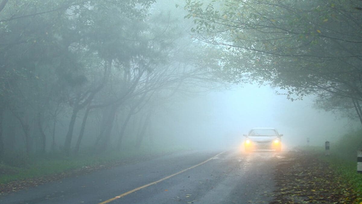 tamilnaadi 27 scaled