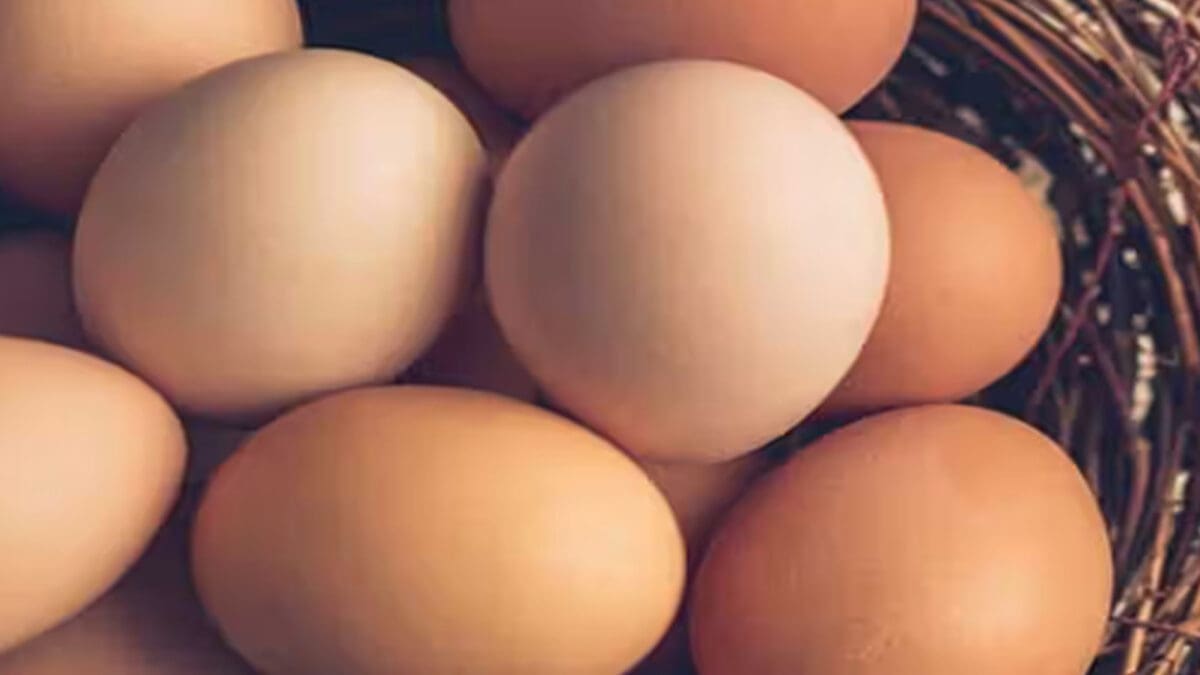 tamilnaadi 68 scaled