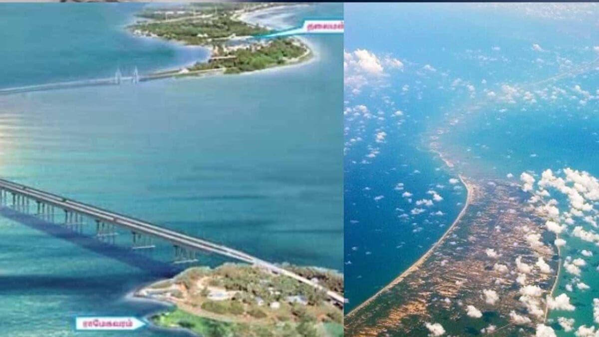 tamilni Recovered 1 scaled