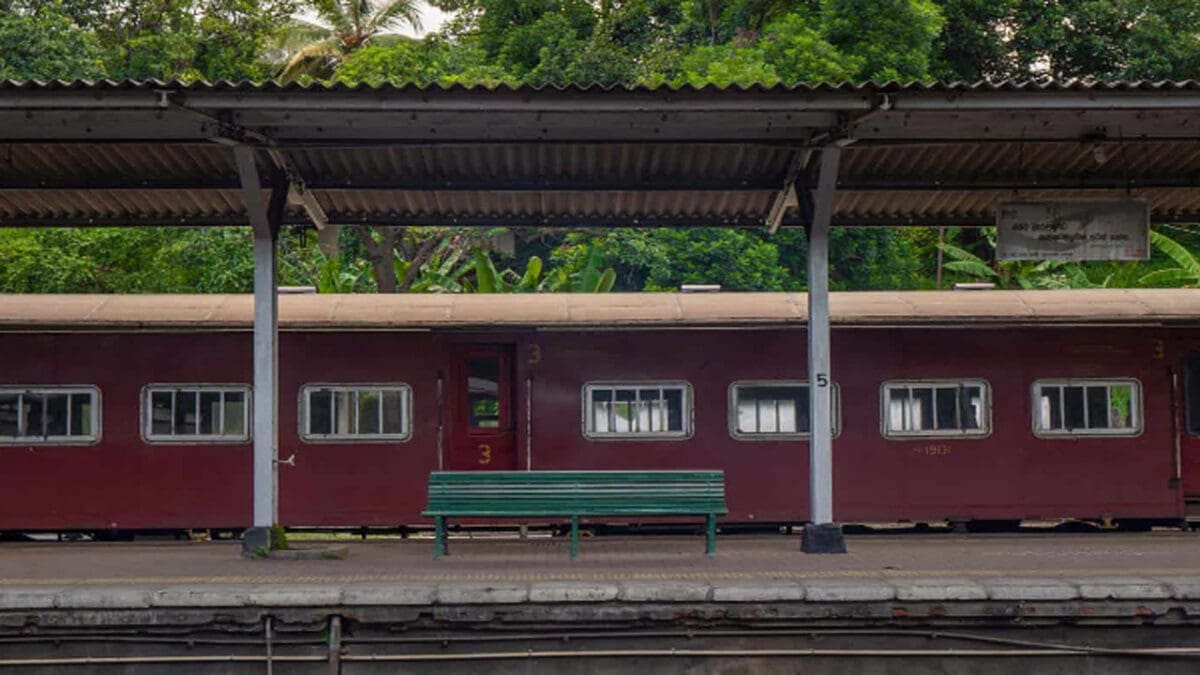 Rasi palan new10 1 scaled