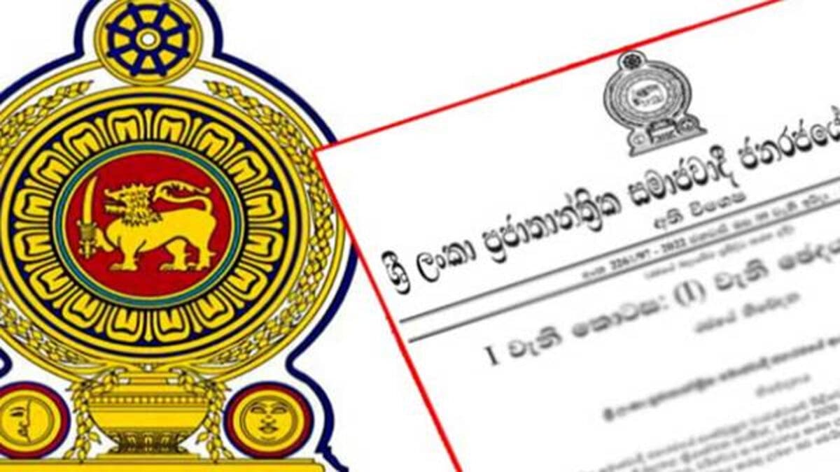 Rasi palan new10 3 scaled