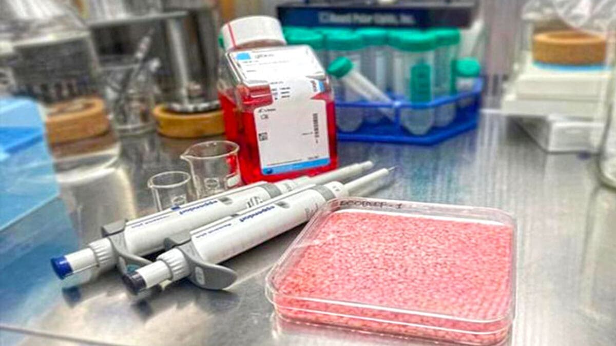 tamilnaadi 107 scaled