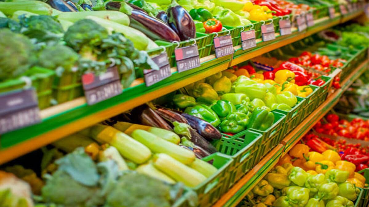 tamilnaadi 124 scaled