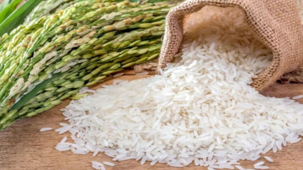 tamilnaadi 25 scaled