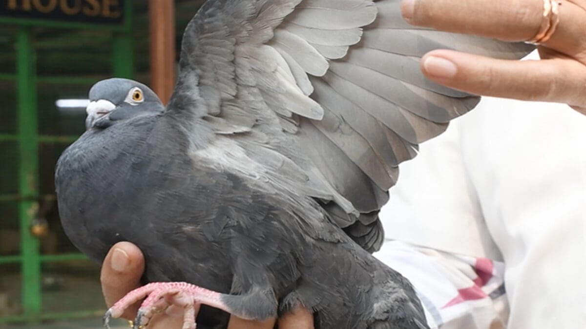 tamilnaadi 42 scaled