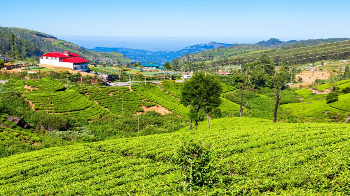 tamilnaadi 67 scaled