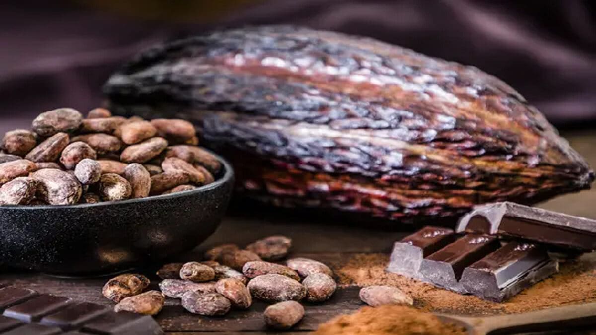 tamilnaadi 74 scaled