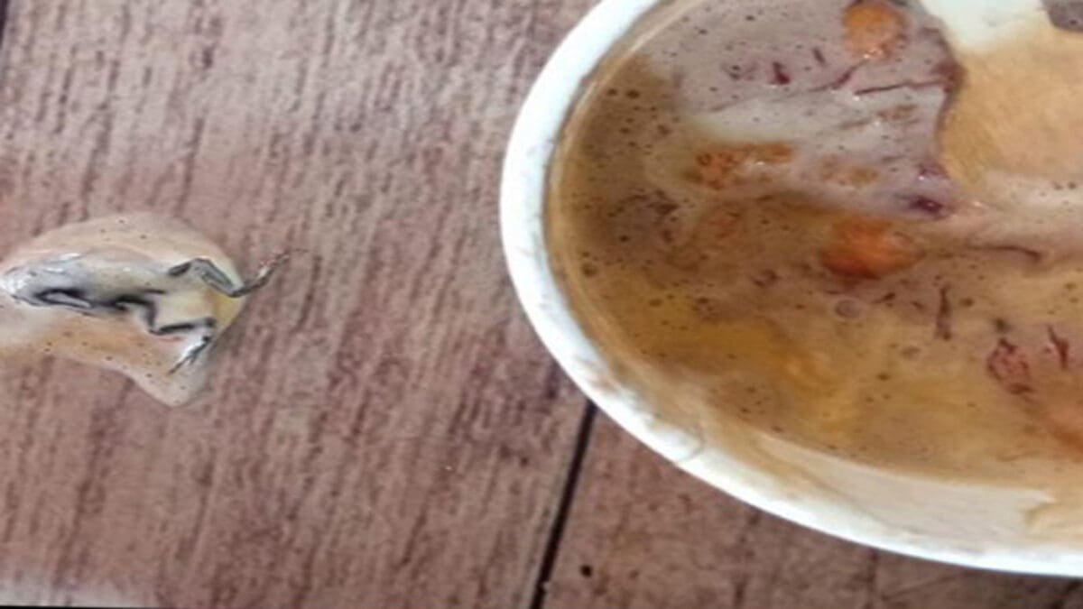 tamilnaadi 86 scaled