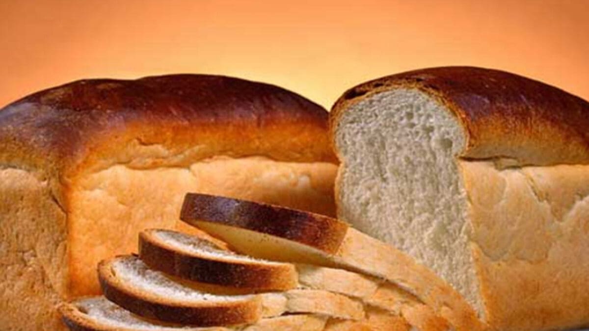 tamilni Recovered 10 scaled