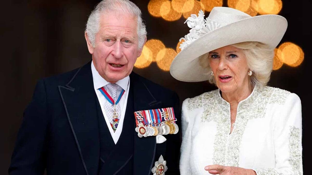 tamilni Recovered 6 scaled