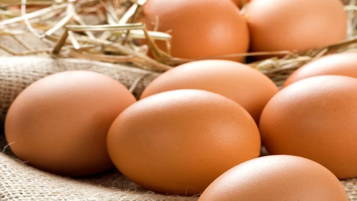 tamilnaadi 28 scaled