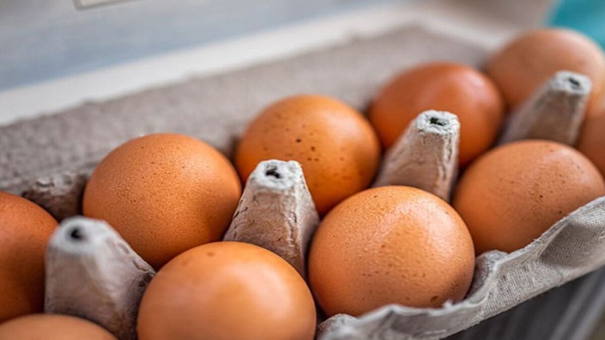 tamilnaadi 69 scaled