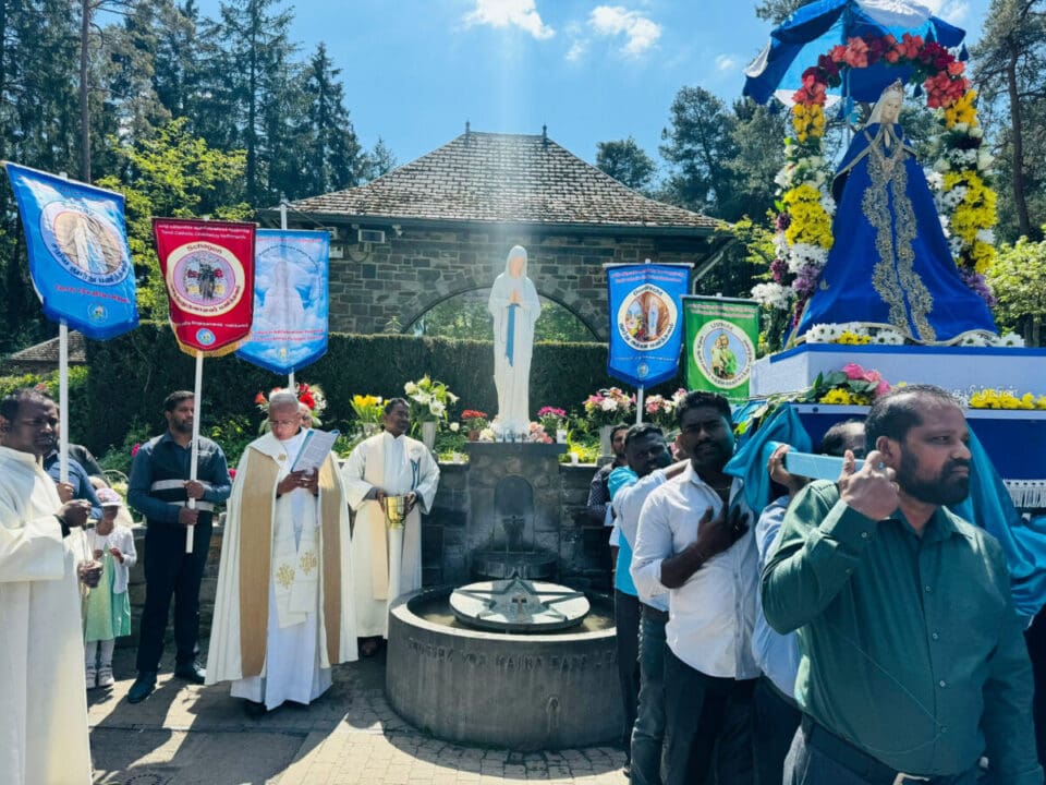 24 6650ef00e809c scaled