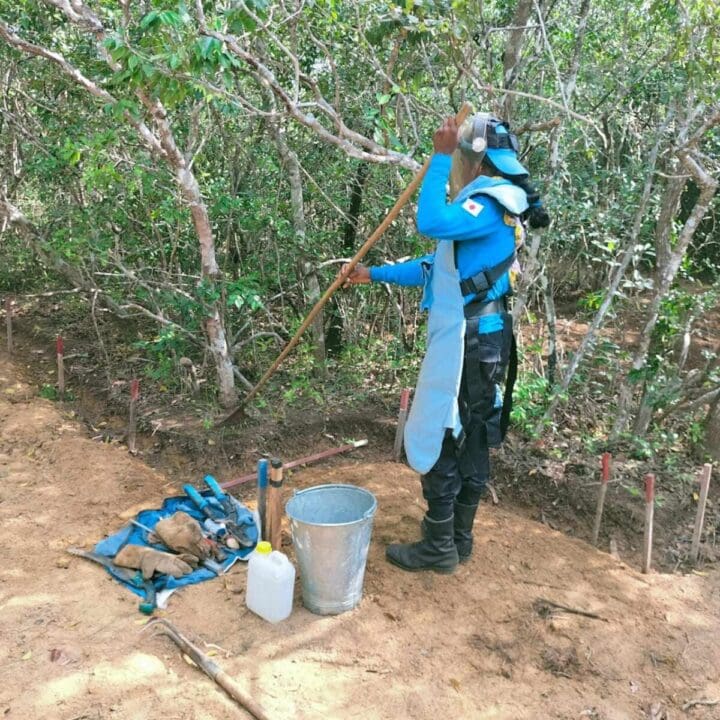 24 6676d1cfd13c0 scaled