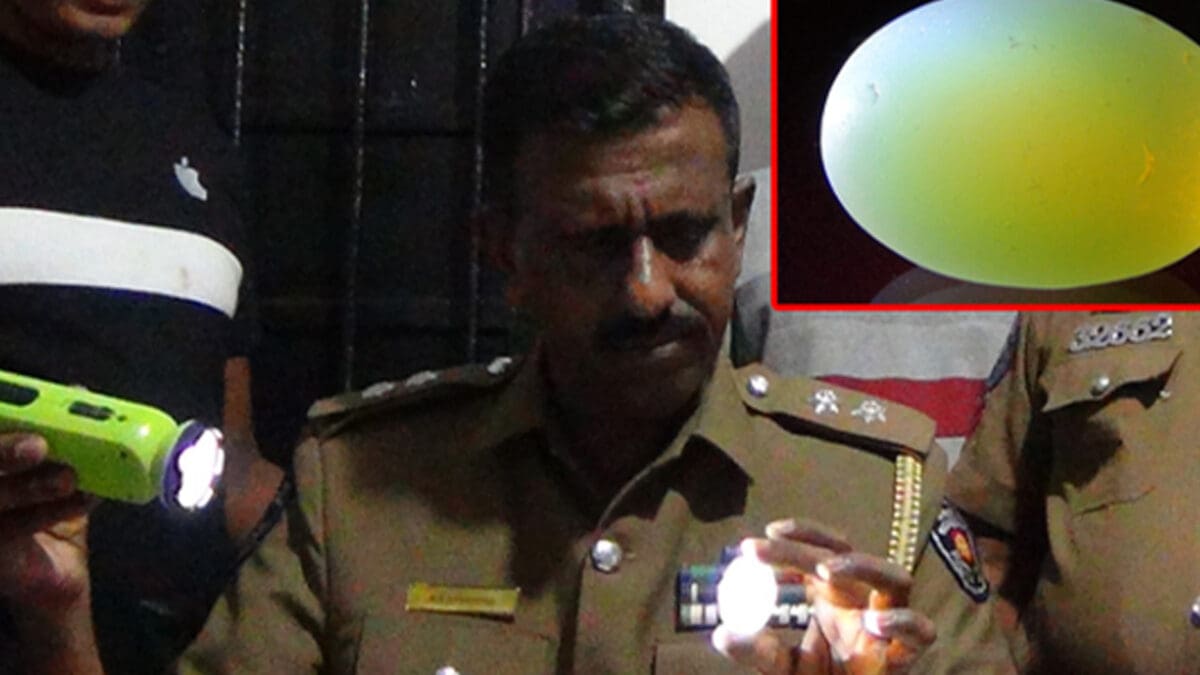 tamilni Recovered 10 scaled