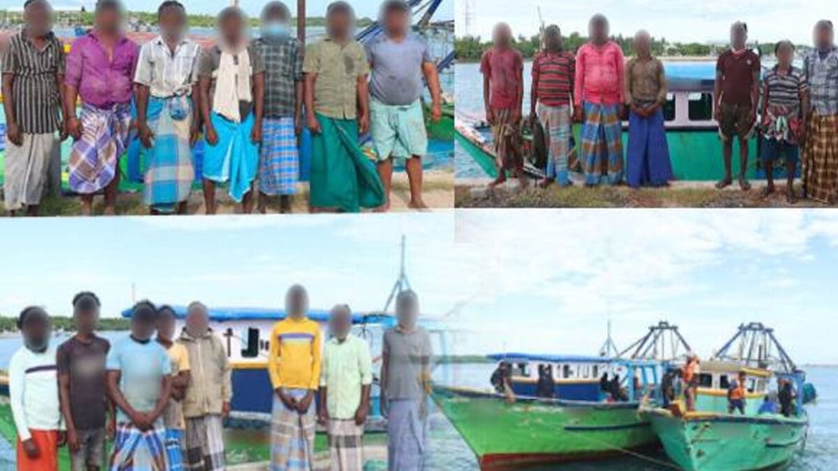 tamilni Recovered 12 scaled