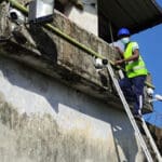 tamilni Recovered 13