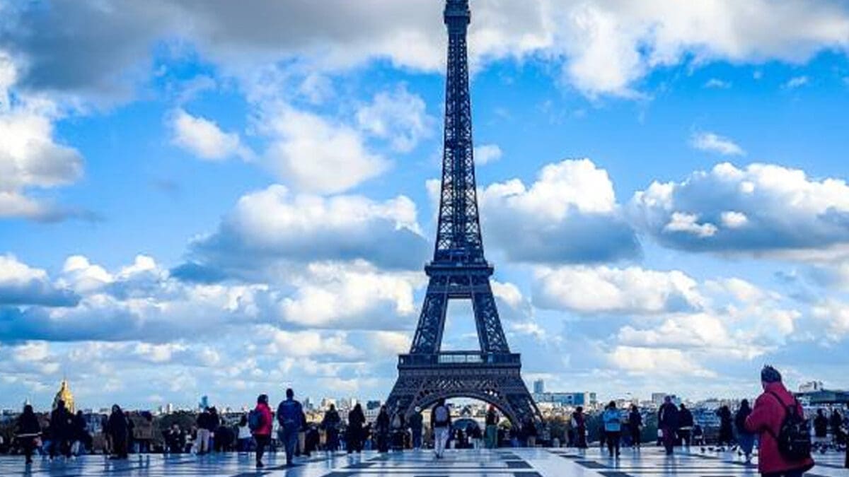 tamilni Recovered 4 scaled