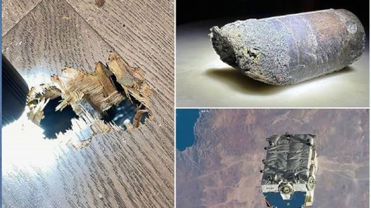 tamilni Recovered 5 scaled