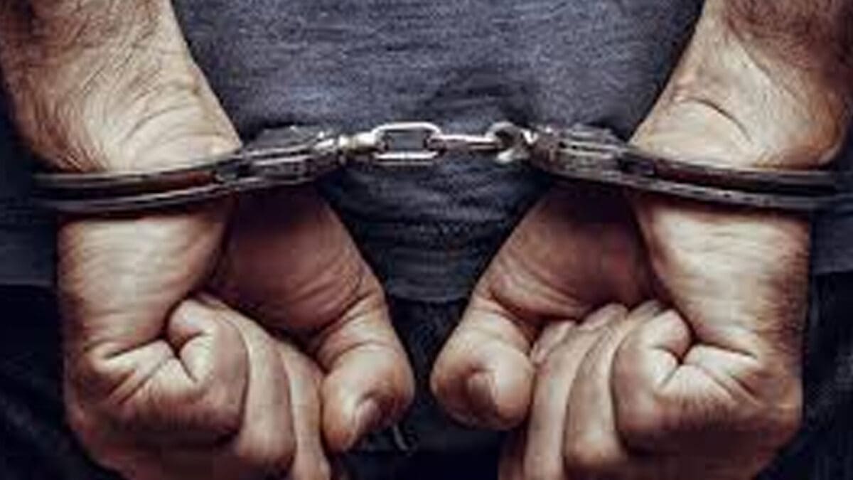 tamilni Recovered 6 scaled