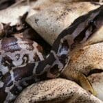 24 6686bc6872e8addddddddddd