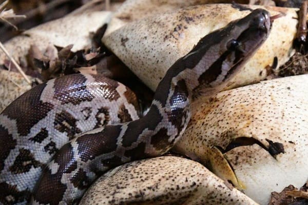 24 6686bc6872e8addddddddddd