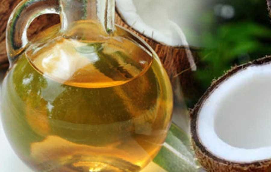 WhatsApp Image 2024 12 12 at 2.03.36 PM