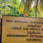 25 684578d12b30a Recovered 2