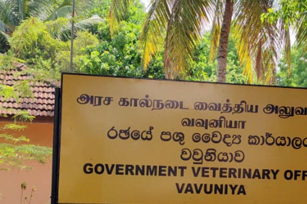 25 684578d12b30a Recovered 2