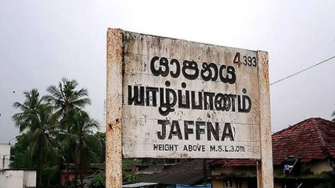 Murder Recovered Recovered 3