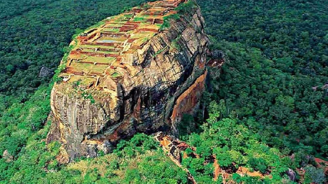 Murder Recovered Recovered Recovered 1