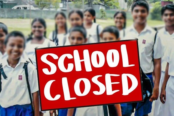 1730254871 24 665e955359147