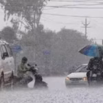 tamil nadu 2024 12 f67e33ad500da080df9856738ff5cc56 16x9 1