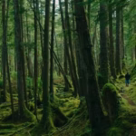 00000187 c316 d630 a597 f71fe3f10000