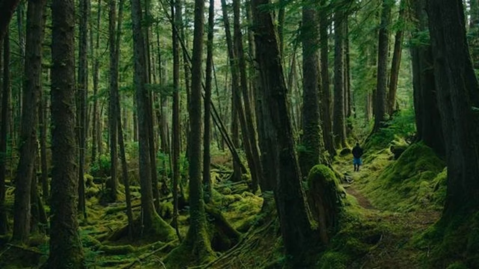 00000187 c316 d630 a597 f71fe3f10000