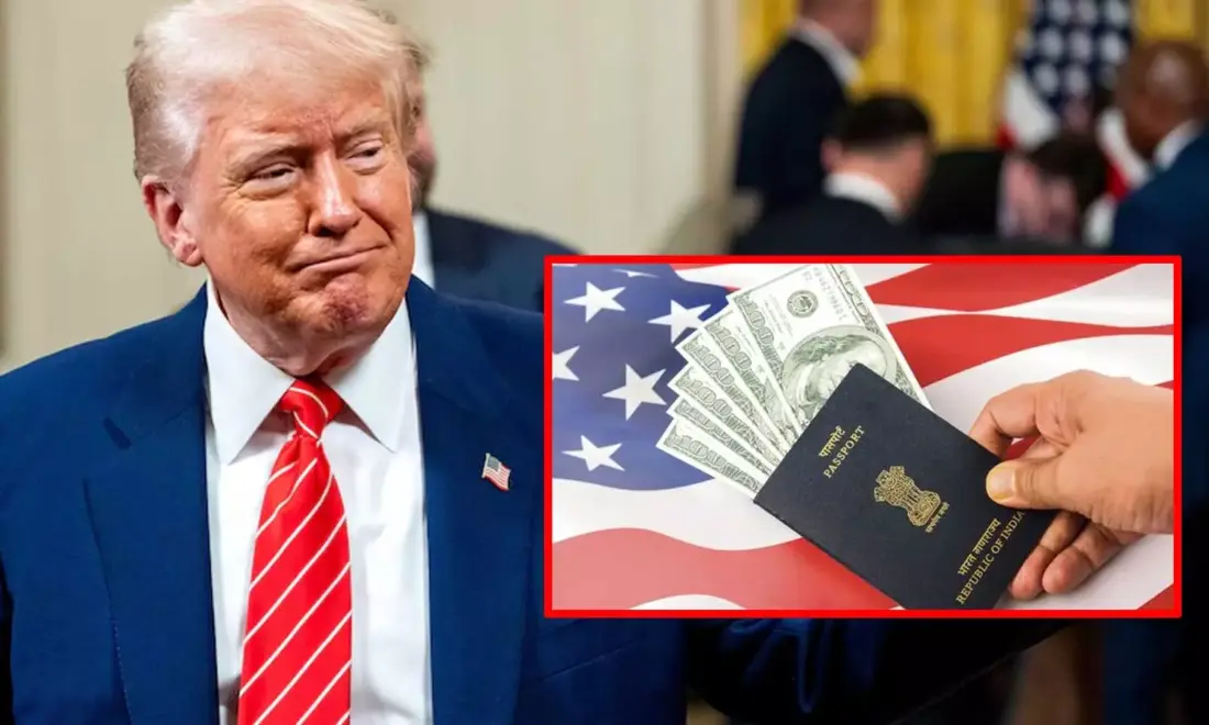 13144814 trump visa