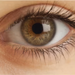 Image 2025 08 41e4a2510e8ad510f382097329a712cd 16x9 1