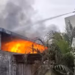 Tamil News lrg 3908923