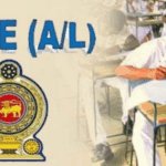 Tumbnail eduwire 113