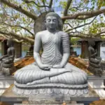 f9eb4180 3a60 11ee b8bd 41d4a5d9331d.jpg