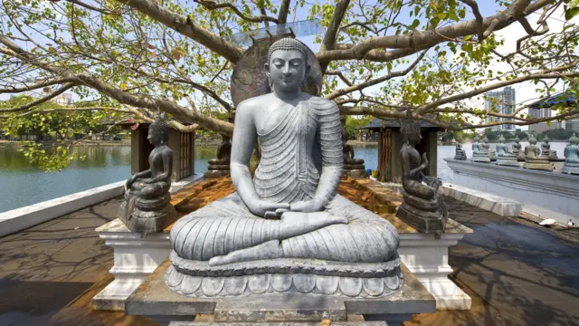 f9eb4180 3a60 11ee b8bd 41d4a5d9331d.jpg