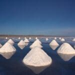 1000 F 62831893 ys5pStUNE4HtH0YiblTGtnyZ9o0UO1AC transformed