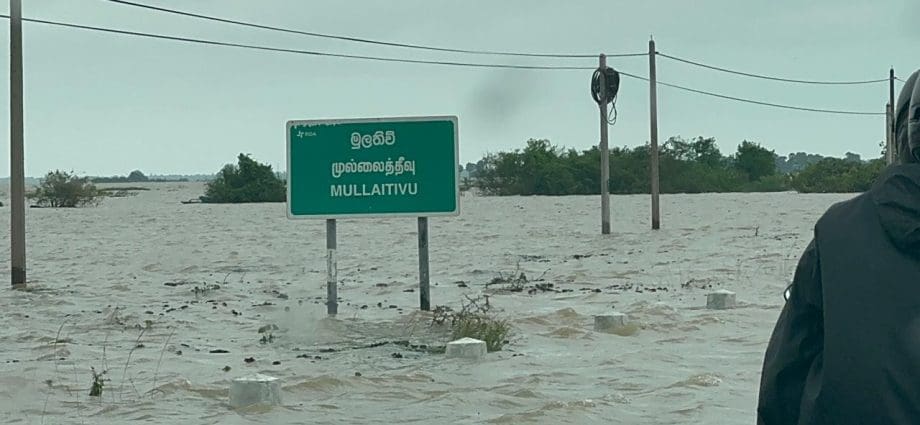 25 692d3ddd5bdcd 920x425 1