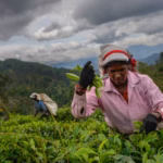 52e545af 47a4 4384 9d9a 6528a8375208 w1080 h608 s