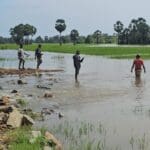 599930085 1542770143558035 1968667072831543849 n