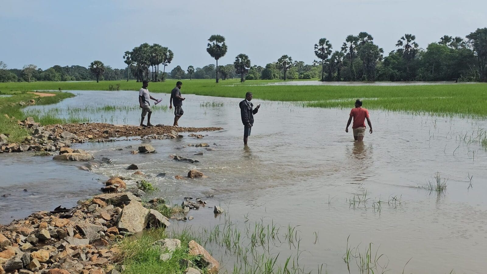 599930085 1542770143558035 1968667072831543849 n