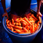 676UZCCBMZLTRIE75Y7UFJ5TZA