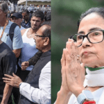 911cec2d 9d13 4086 8537 619894fb87b6