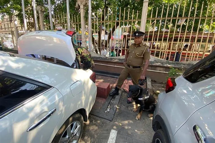 articles2F583so8SQNlVQZsKVUQic